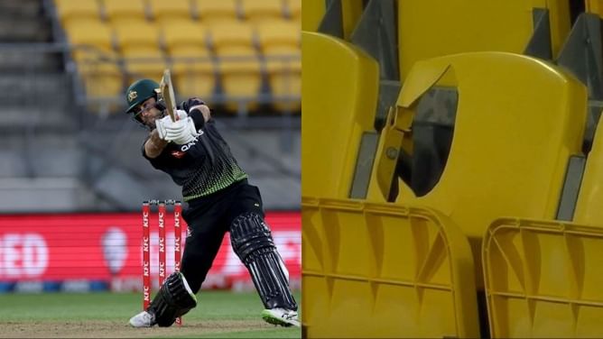 Watch: Glenn Maxwell breaks a seat in the stands at Westpac Stadium