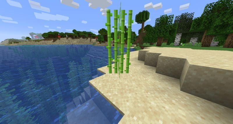 Image via Minecraft Wiki