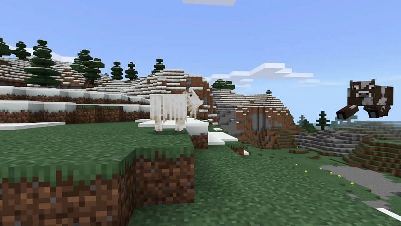 Goat launching a cow off the cliff (Image via Mojang)