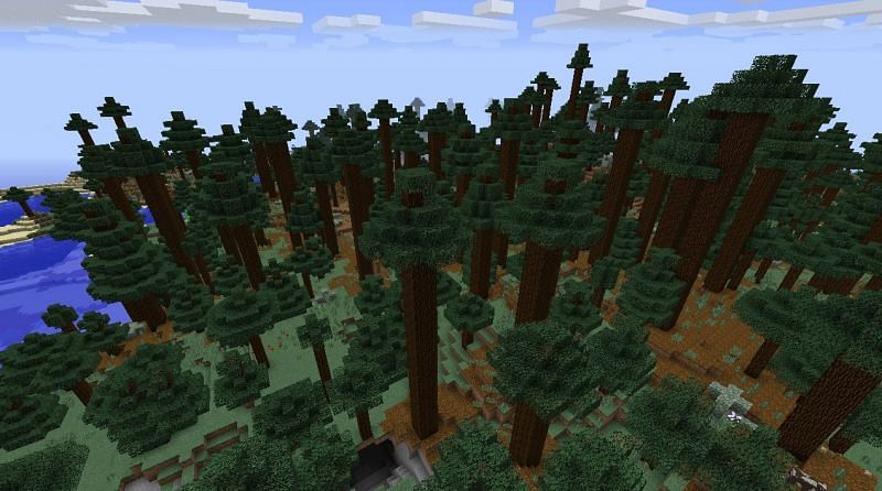 Minecraft giant taiga tree (Image via minecraftvillageseeds)