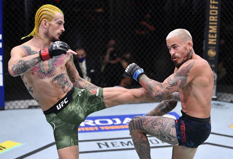 Hot prospect Sean O&#039;Malley faces Thomas Almeida on UFC 260&#039;s main card.