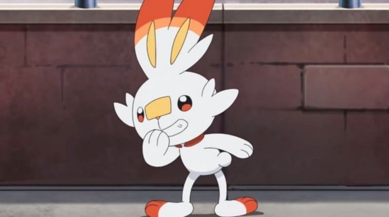 Scorbunny  Pokémon Sword e Pokémon Shield