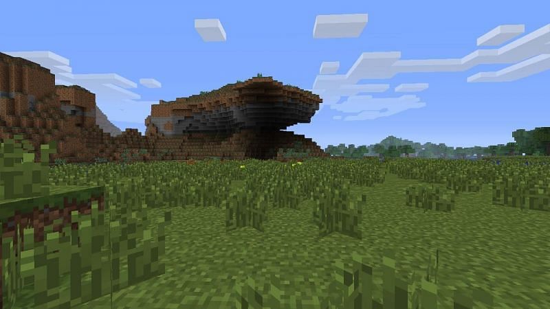 Minecraft&#039;s plains biome (Image via Minecraft network fandom)