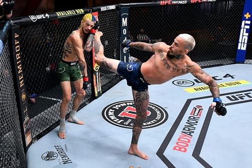 Sean O'Malley vs. Marlon Vera