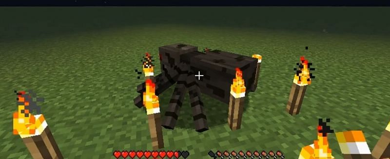 Torches can be used to calm spiders down