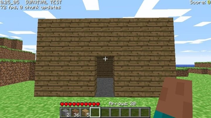 5 things players didn't know about the Survival Test in Minecraft