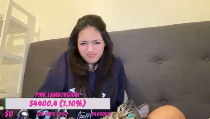 Moments before PlaymateTessi threw her cat on a live stream (Image via IP2Cx Historian2 - YouTube)