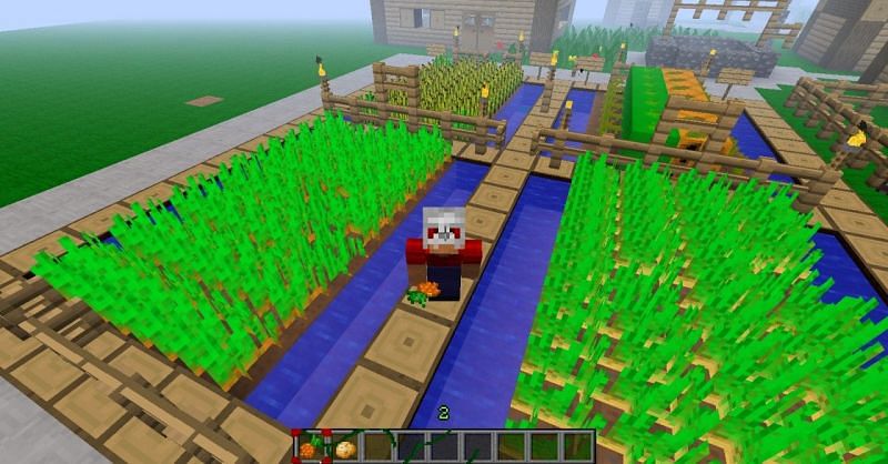 Carrot farm (Image via planetminecraft.com)