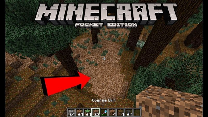 What does coarse dirt do in Minecraft?