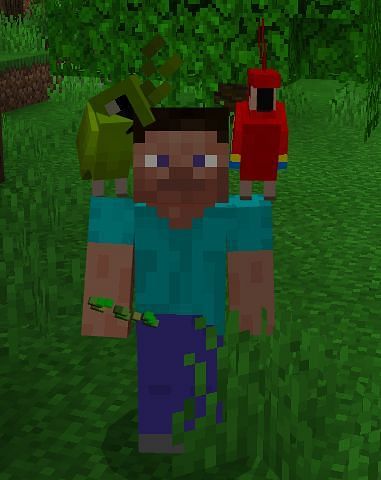 In fact you even have the ability to wear parrots on your shoulders should you desire it