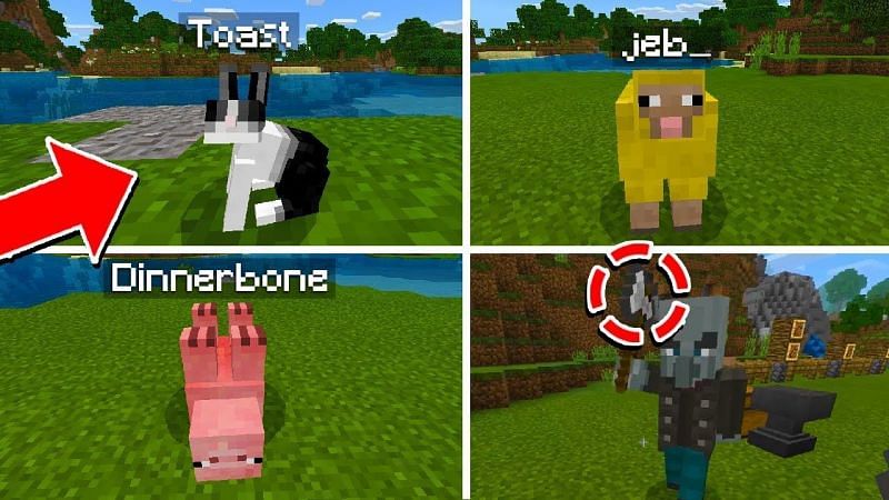5 secret mob traits in Minecraft (Image via The Andriod Miner)