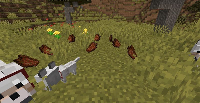 Top 5 uses of Rotten Flesh in Minecraft