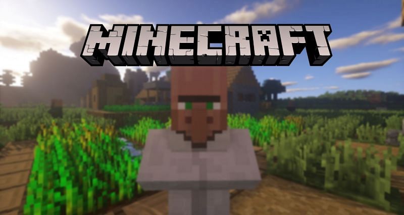 5 Things Players Didn T Know About The Villager In Minecraft