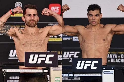 Alexander Volkanovski and Paulo Costa exchanged jabs on Twitter recently.