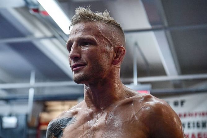 'He's become a d*****' - TJ Dillashaw doesn't appreciate the comments Cory Sandhagen made about him