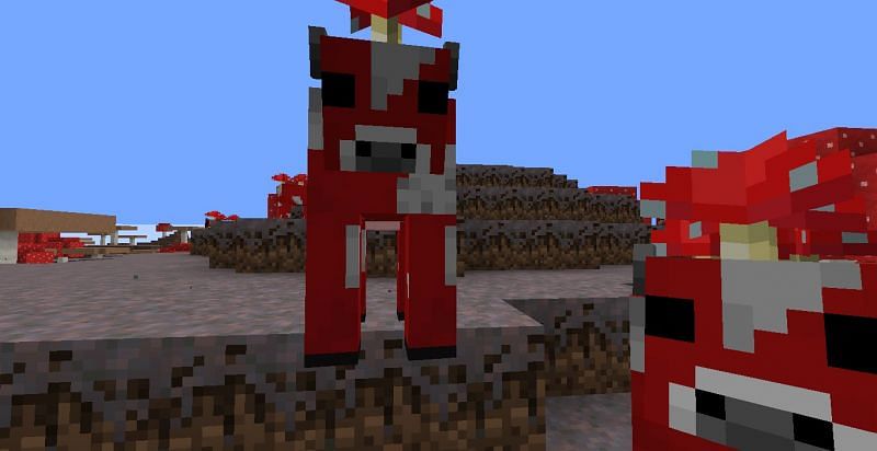 5 Things Players Didnt Know About Mooshrooms In Minecraft 6084