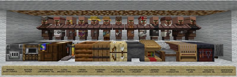 An image of all villagers and their respective job blocks (Image via Reddit)