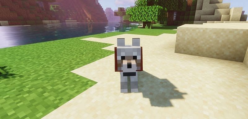 Pufferfish can be used to feed wolves in Minecraft (Image via Minecraft)