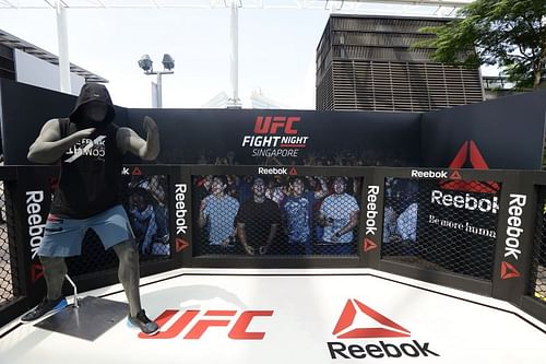 UFC Fan Experience