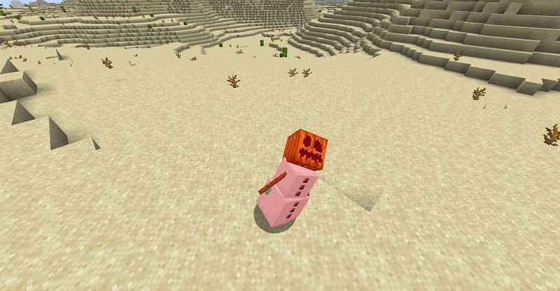 A snow golem melted in a desert in Minecraft (Image via Minecraft)