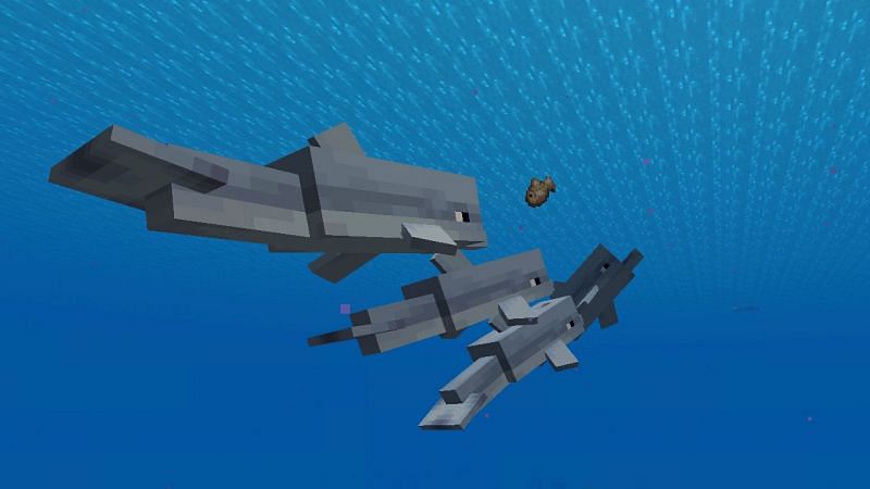 A pod of curious dolphins inspecting a dropped fish (Image via Mojang)