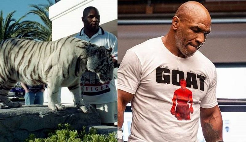 Mike Tyson is a long-time admirer of exotic pets