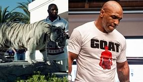 Does Mike Tyson still have his pet tiger?