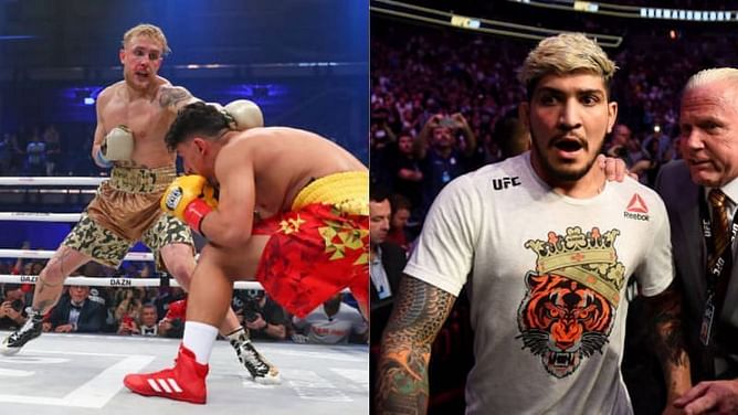 Why did Dillon Danis reportedly turn down the fight against Jake Paul?