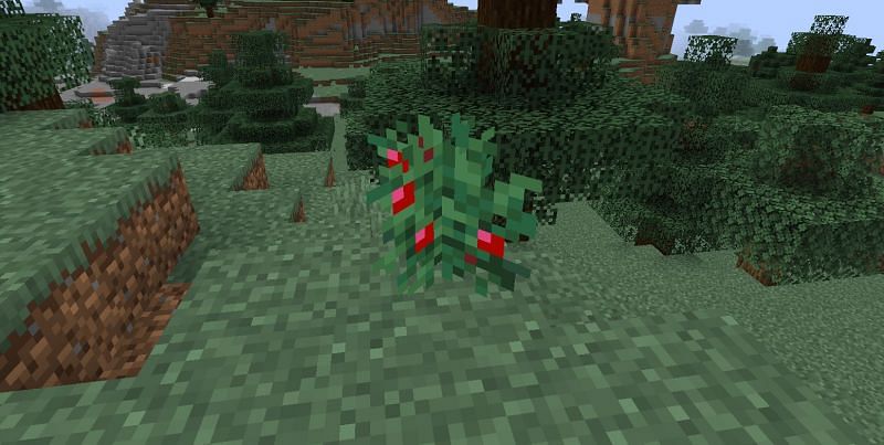 Shown: A naturally spawned Sweet Berry bush (Image via Minecraft)