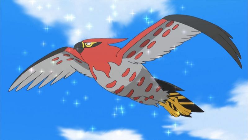 Talonflame (Image via The Pokemon Company)