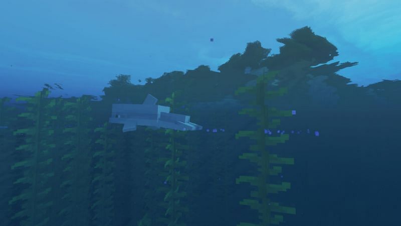 A Dolphin wading through the tall Sea Grass (Image via Minecraft)
