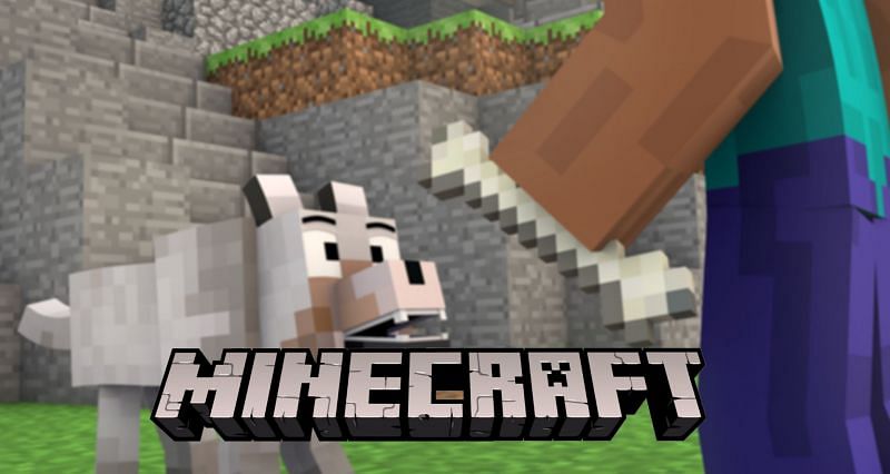 Unknown but interesting facts about the wolf in Minecraft
