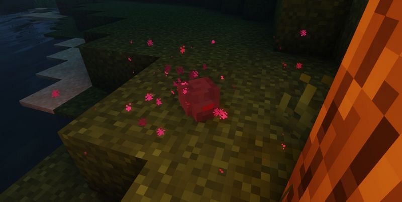 قد تفرخ Endermites عندما يرمي اللاعب لؤلؤة Ender (الصورة من Minecraft)