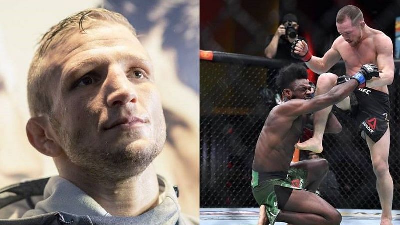 TJ Dillashaw has called Petr Yan a cheater following his UFC 259 debacle.