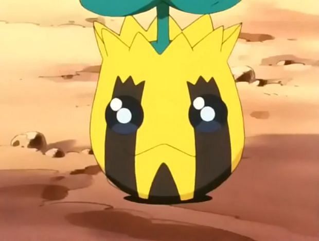 Sunkern (Image via The Pokemon Company)