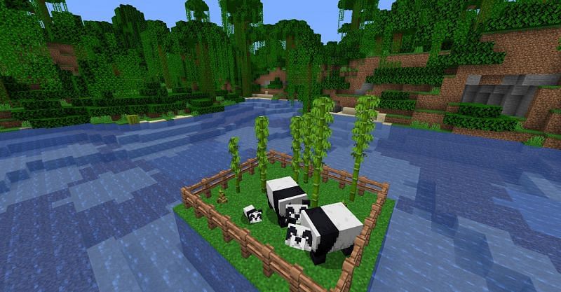 Two adult pandas and a baby panda in Minecraft. (Image via Minecraft)