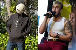 Who is Dream and why did he claim he could knock Jake Paul out?