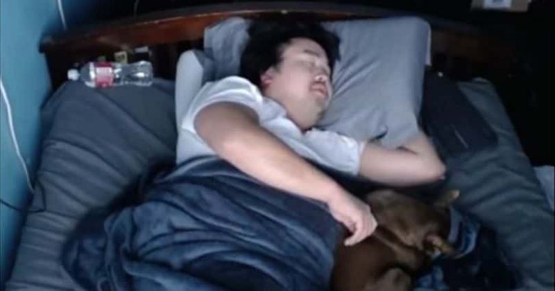 Asian Andy has made sleep streams a regular thing  (image via Asian Andy, Twitch)