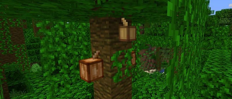 Cocoa beans are used to craft cookies or make brown dye (Image via Minecraft)