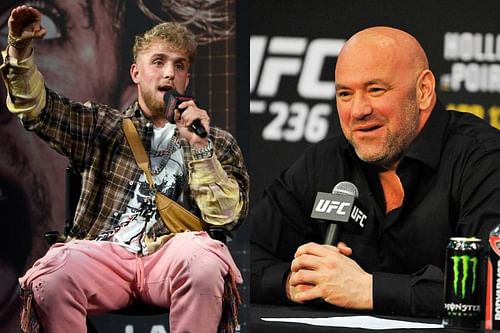 Jake Paul calls Dana White 'bird-brained' for doubting his abilities