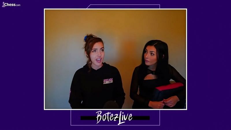 BotezLive - Twitch