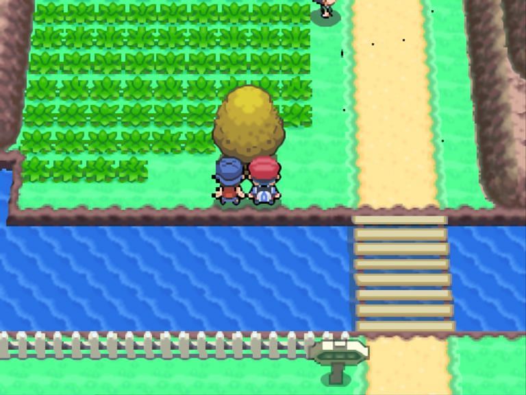 There are 21 Honey Trees in the Sinnoh area in Pokemon Diamond and Pearl (Image via Game Freak)