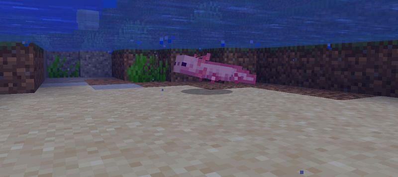 Shown: Axolotls will spawn in underground water sources (Image via Minecraft)
