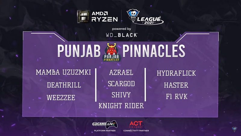 Punjab Pinnacles Line-up (Screengrab from Skyesports league)