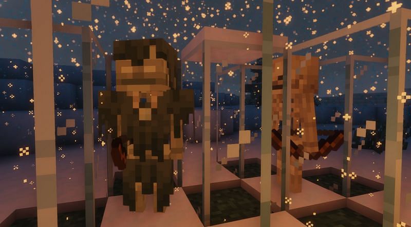 Shown: A Stray and Skeleton test site (Image via Minecraft)