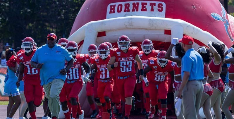 Delaware State Hornets