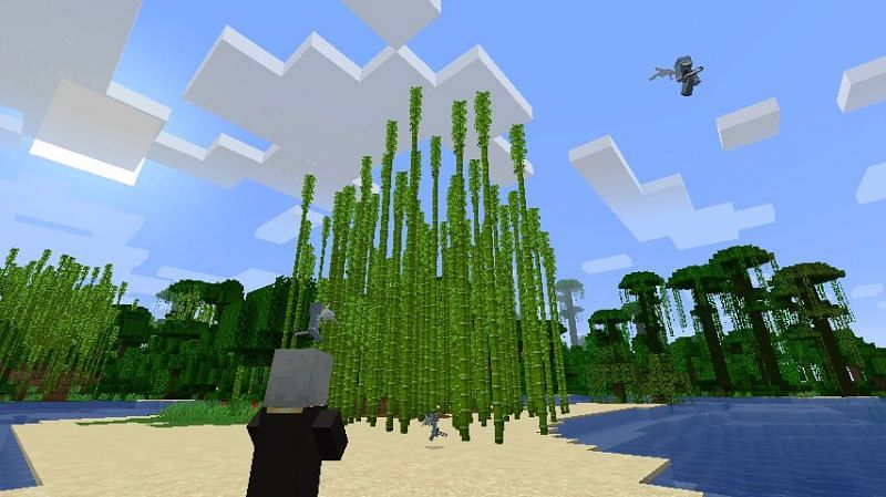 Evoker Behavior in Minecraft Vexes