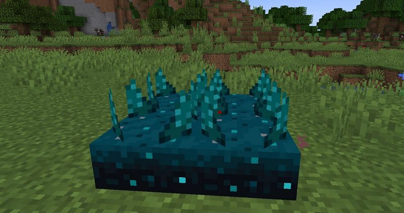 Shown: Activated Sculk Sensors in Minecraft (Image via Minecraft)