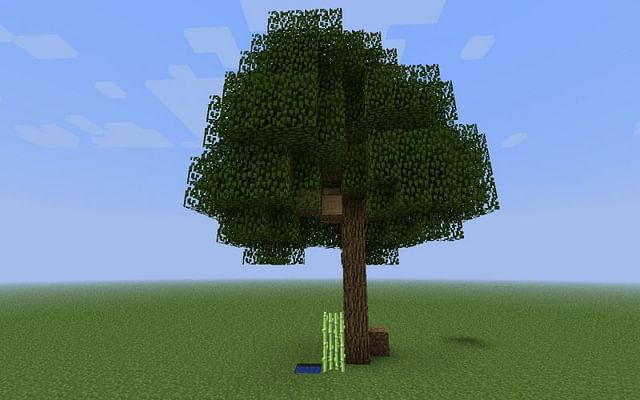 Trees in Minecraft: Everything players need to know