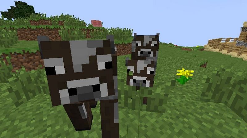 minecraft cute baby cow